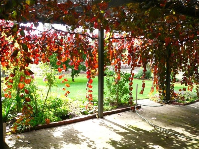 10 Noarana Drive, Benalla VIC 3672