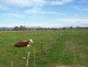 1412 Kilfeera Road, Molyullah VIC 3673