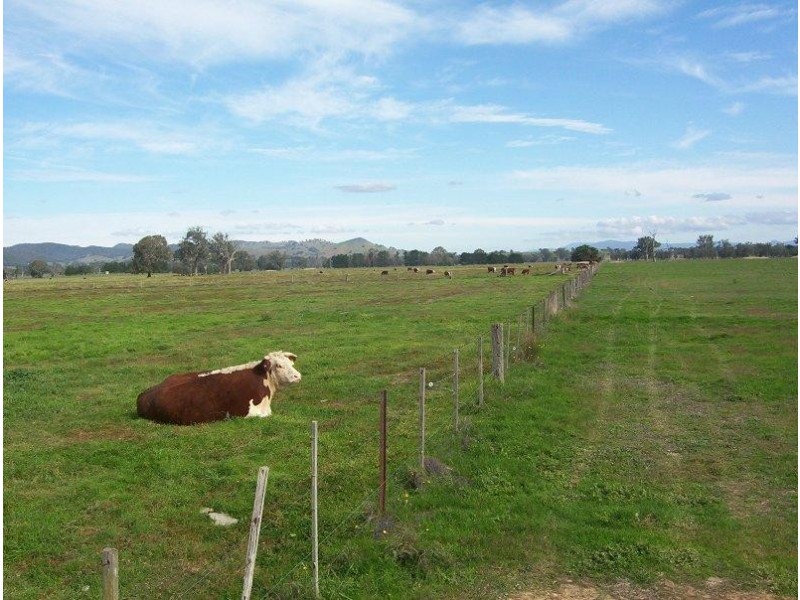 1412 Kilfeera Road, Molyullah VIC 3673