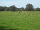 1412 Kilfeera Road, Molyullah VIC 3673