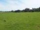 1412 Kilfeera Road, Molyullah VIC 3673