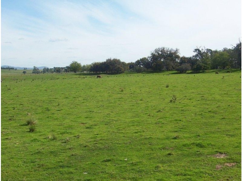 1412 Kilfeera Road, Molyullah VIC 3673