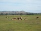 1412 Kilfeera Road, Molyullah VIC 3673