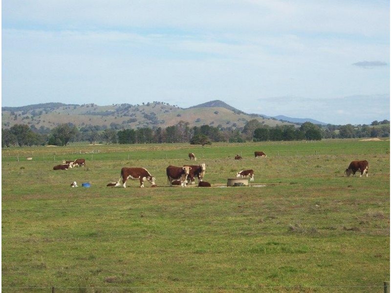1412 Kilfeera Road, Molyullah VIC 3673