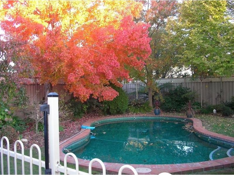 14 Exton Cresent, Benalla VIC 3672