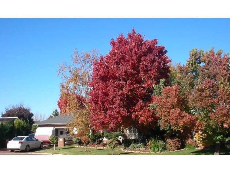 14 Exton Cresent, Benalla VIC 3672