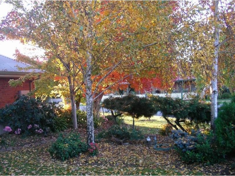 14 Exton Cresent, Benalla VIC 3672