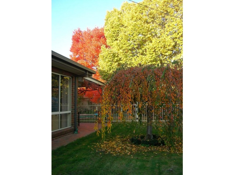 14 Exton Cresent, Benalla VIC 3672