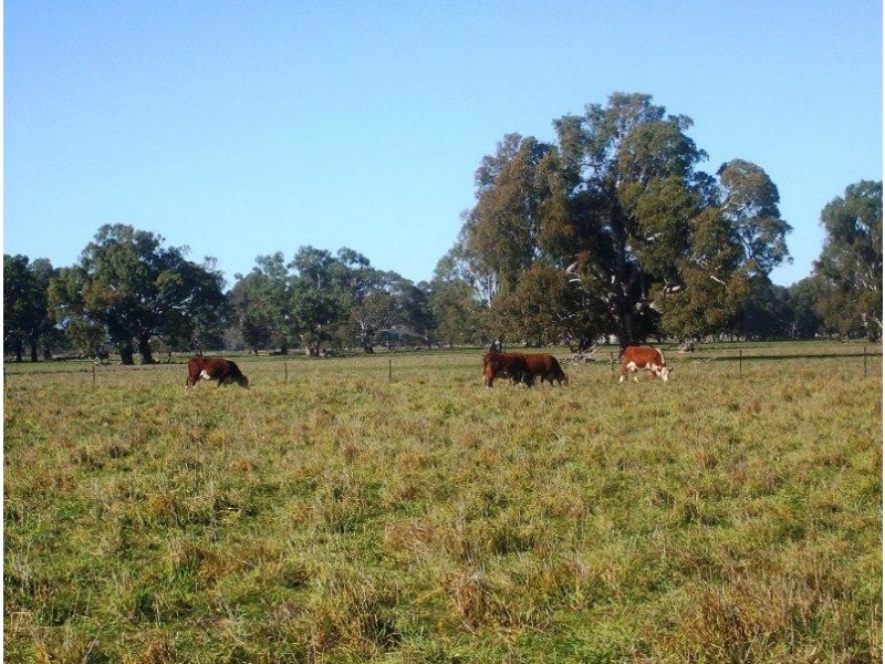 355 Greens Road, Glenrowan, Benalla VIC 3672