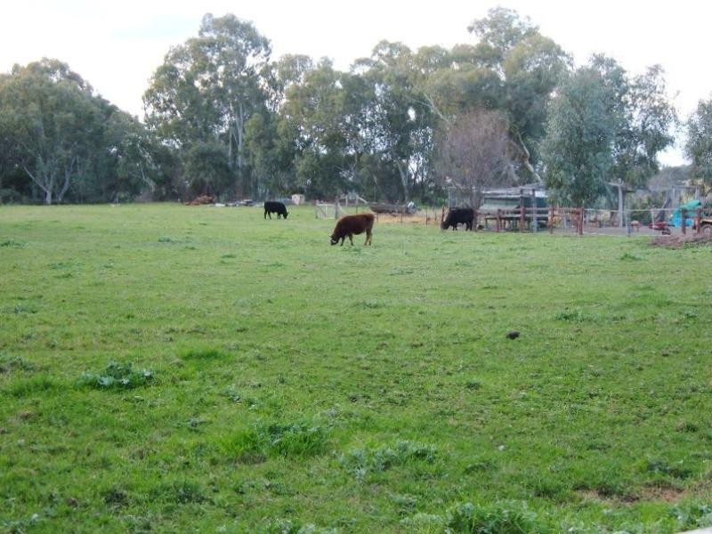 227 BENALLA  WHITFIELD ROAD, Greta South VIC 3675