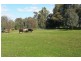 227 BENALLA  WHITFIELD ROAD, Greta South VIC 3675