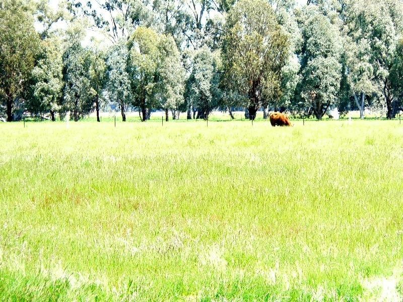 608 Benalla Warrenbayne Road, Benalla VIC 3672