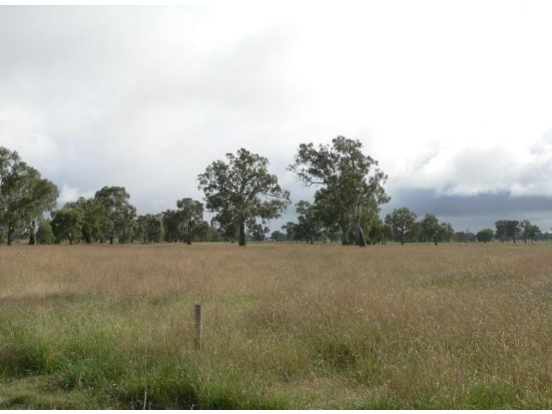 307 Banksdale Road, Greta VIC 3675