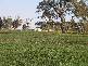 WHARPARILLA ROAD, Echuca VIC 3564