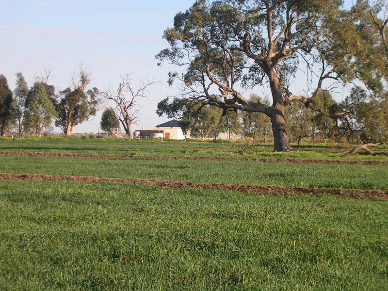 WHARPARILLA ROAD, Echuca VIC 3564