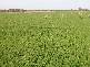 WHARPARILLA ROAD, Echuca VIC 3564
