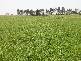 WHARPARILLA ROAD, Echuca VIC 3564
