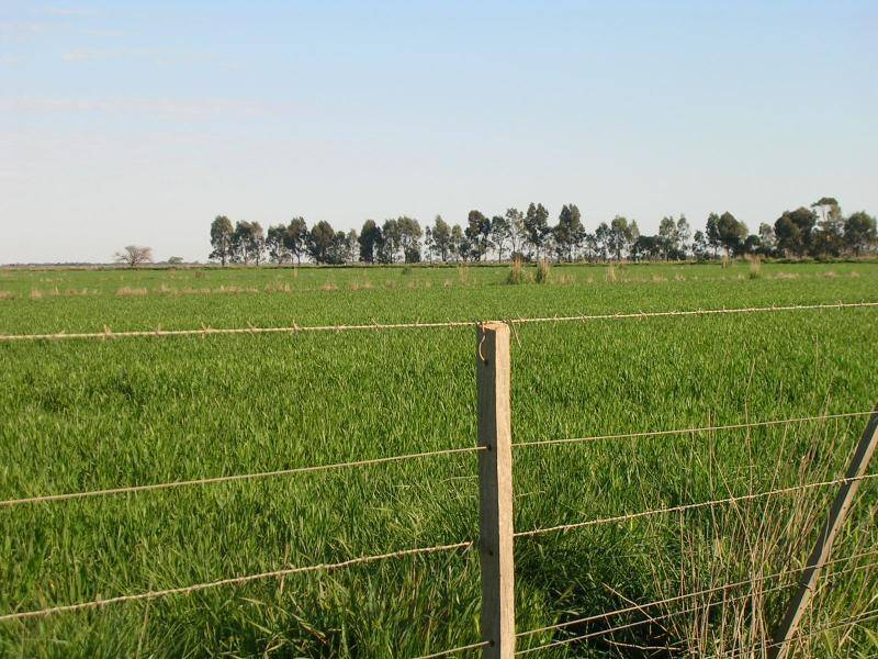 WHARPARILLA ROAD, Echuca VIC 3564