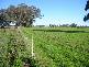1334 SINGER ROAD, Lockington VIC 3563