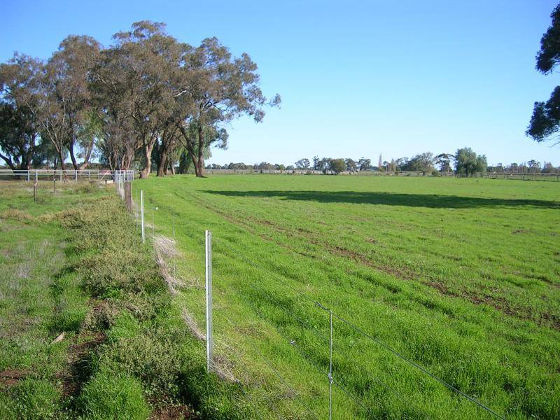 1334 SINGER ROAD, Lockington VIC 3563