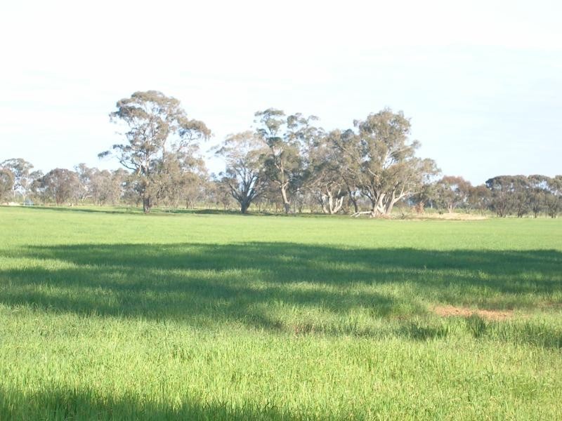 THYRA ROAD, Moama NSW 2731