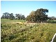 THYRA ROAD, Moama NSW 2731