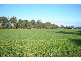 THYRA ROAD, Moama NSW 2731