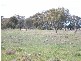 WHARPARILLA ROAD, Echuca VIC 3564