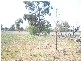 WHARPARILLA ROAD, Echuca VIC 3564