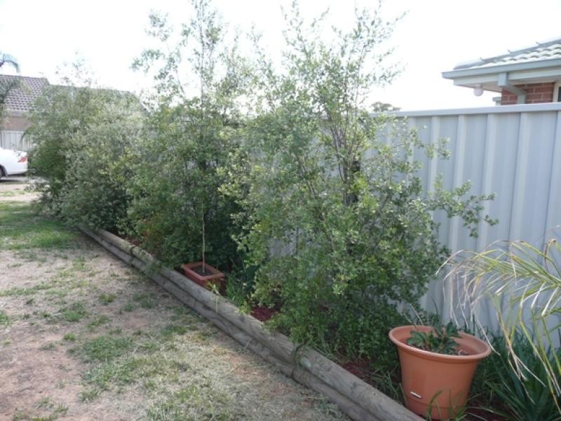 16 Annie Court, Moama NSW 2731