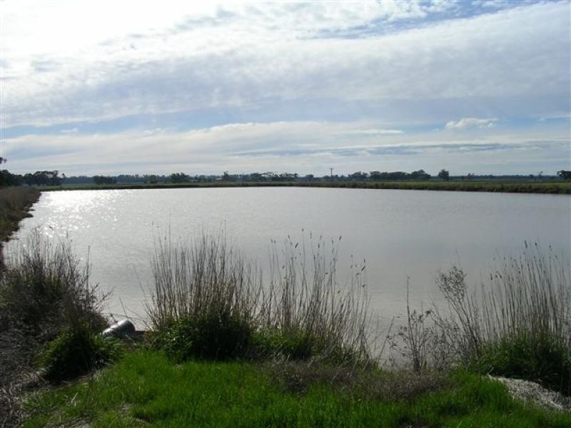 MURRAY VALLEY HIGHWAY, Echuca VIC 3564