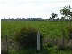 MURRAY VALLEY HIGHWAY, Echuca VIC 3564