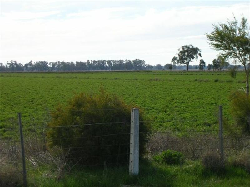 MURRAY VALLEY HIGHWAY, Echuca VIC 3564