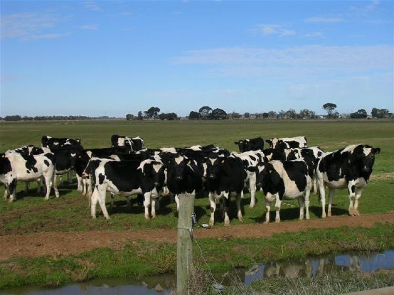 MURRAY VALLEY HIGHWAY, Echuca VIC 3564