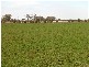 MURRAY VALLEY HIGHWAY, Echuca VIC 3564