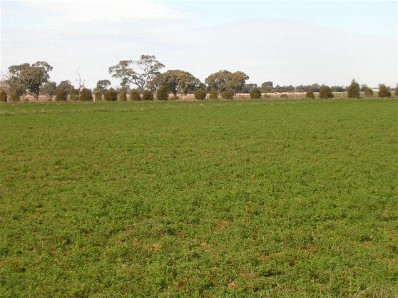 MURRAY VALLEY HIGHWAY, Echuca VIC 3564