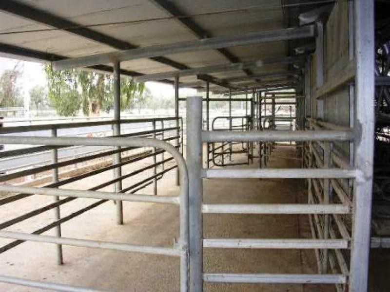 682 ISLAND ROAD, Gunbower VIC 3566