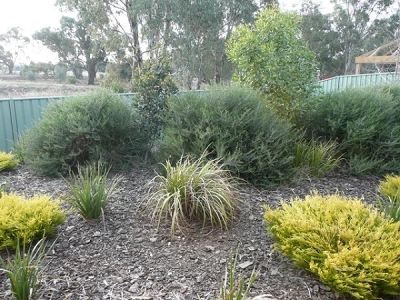 35 Woodlands Circuit, Echuca VIC 3564