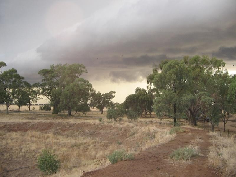 THYRA ROAD, Moama NSW 2731