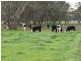 THYRA ROAD, Moama NSW 2731