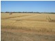 THYRA ROAD, Moama NSW 2731