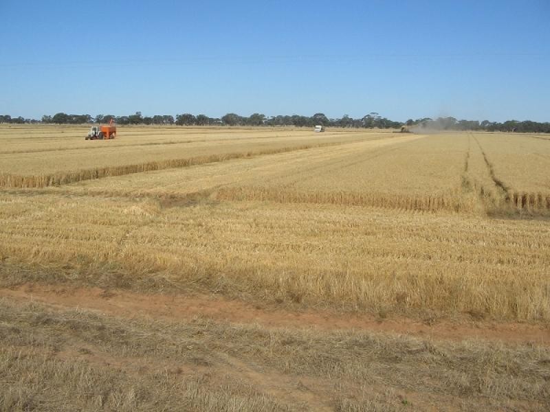 THYRA ROAD, Moama NSW 2731
