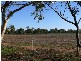 THYRA ROAD, Moama NSW 2731