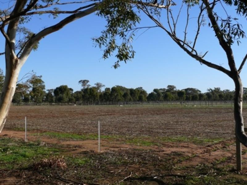 THYRA ROAD, Moama NSW 2731