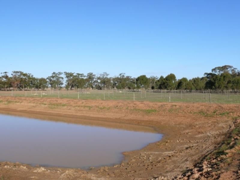 THYRA ROAD, Moama NSW 2731