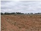 THYRA ROAD, Moama NSW 2731