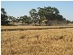 THYRA ROAD, Moama NSW 2731