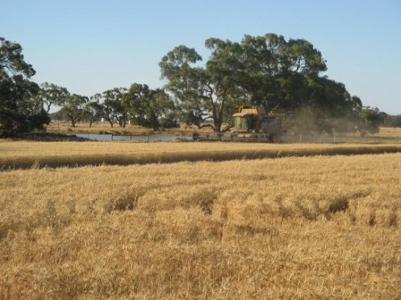 THYRA ROAD, Moama NSW 2731