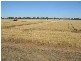 THYRA ROAD, Moama NSW 2731