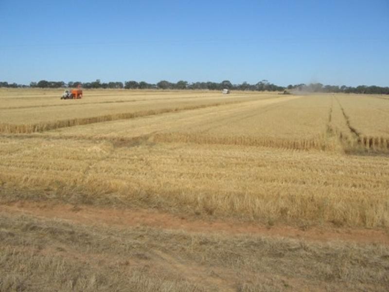 THYRA ROAD, Moama NSW 2731